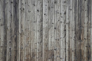 Wooden wall Texture