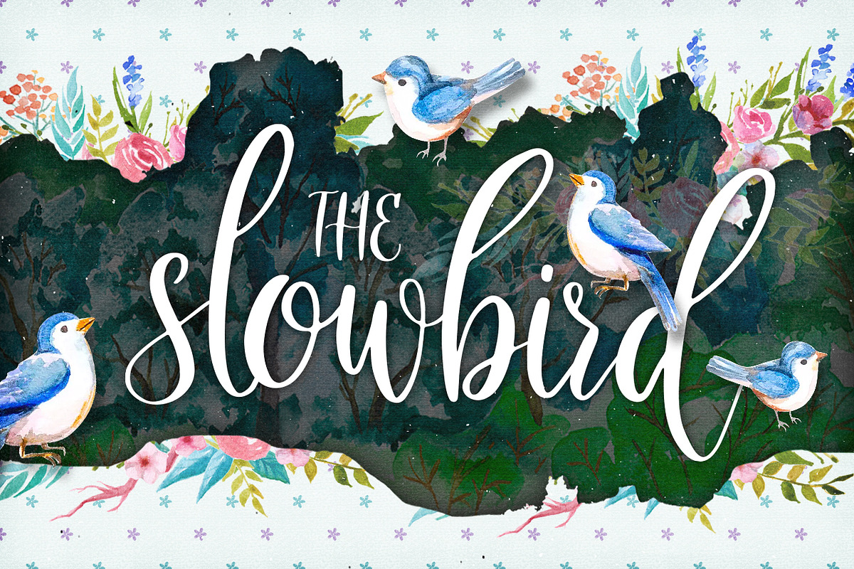 The Slowbird - Typeface in Script Fonts - product preview 8
