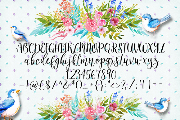 The Slowbird - Typeface in Script Fonts - product preview 5