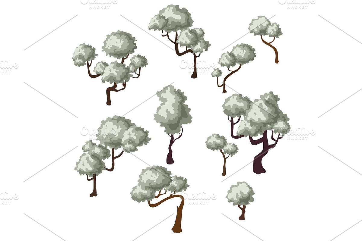 Elaeagnus commutata, the silverberry. wolf-willow, isometric tree in Illustrations - product preview 8