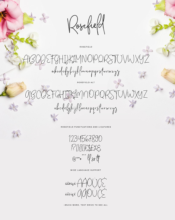 Rosefield Typeface in Script Fonts - product preview 9