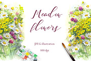 SALE! Meadow Flowers Watercolor