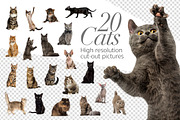 20 Cats - Cut-out High Res Pictures