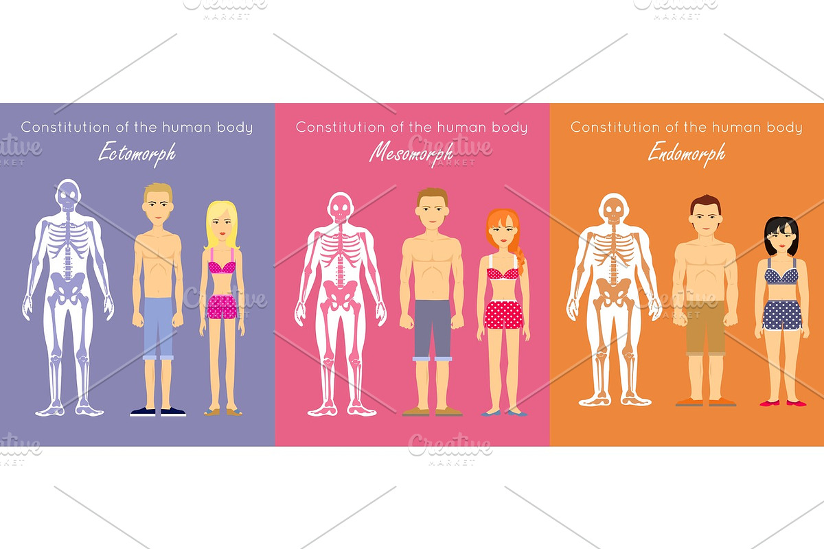Human Body Constitution Flat Design Vector Concept in Illustrations - product preview 8