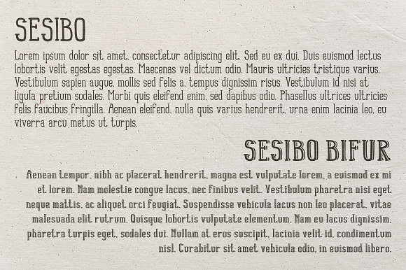 Sesibo Fonts in Slab Serif Fonts - product preview 1