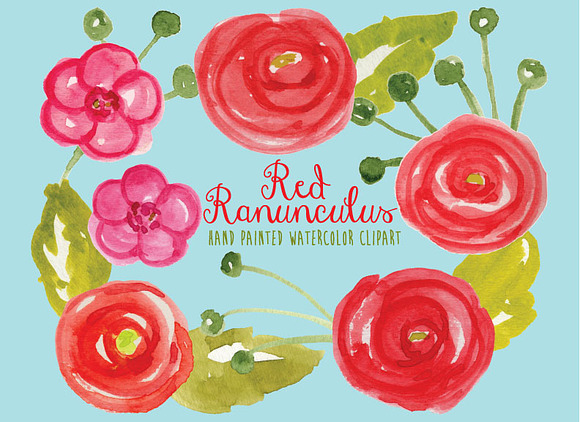 Watercolor Ranunculus in Illustrations - product preview 1