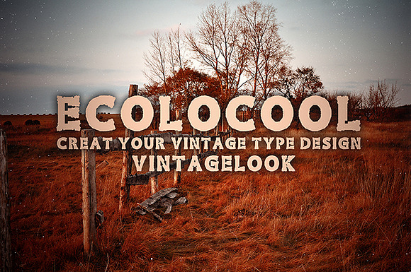 Ecolo Family Font in Display Fonts - product preview 3