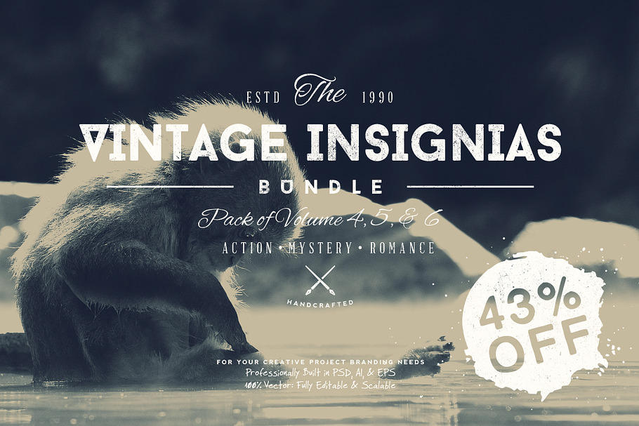 33 Trendy Vintage Insignias Bundle 2 in Logo Templates - product preview 8