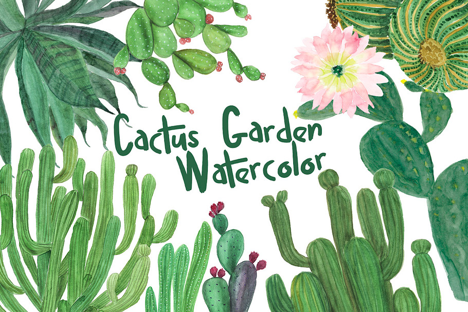 Watercolor cactus garden in Illustrations - product preview 8