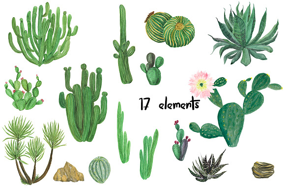 Watercolor cactus garden in Illustrations - product preview 1