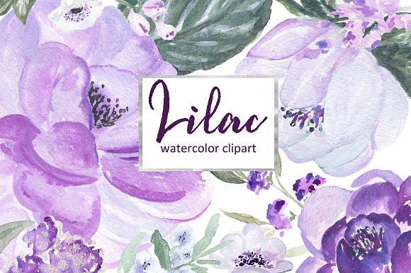 Lilac Soft purple watercolor clipart in Illustrations - product preview 6