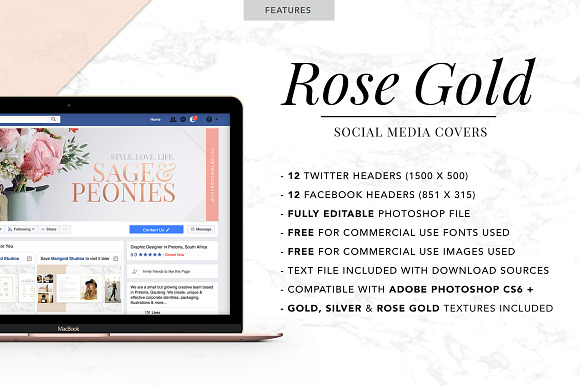 ROSE GOLD | Social Media Covers in Facebook Templates - product preview 1