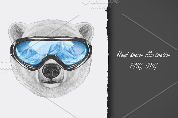 Polar Bear / Winter in Illustrations - product preview 1
