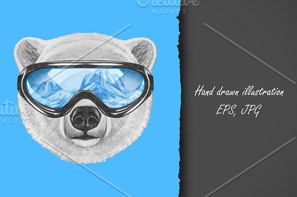 Polar Bear / Winter in Illustrations - product preview 2