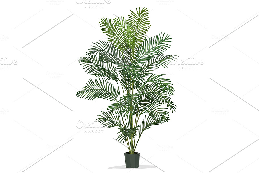 Hand drawn vector room plants in Illustrations - product preview 8