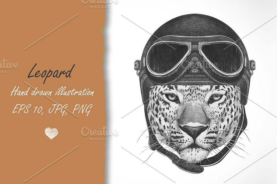 Leopard in Illustrations - product preview 8