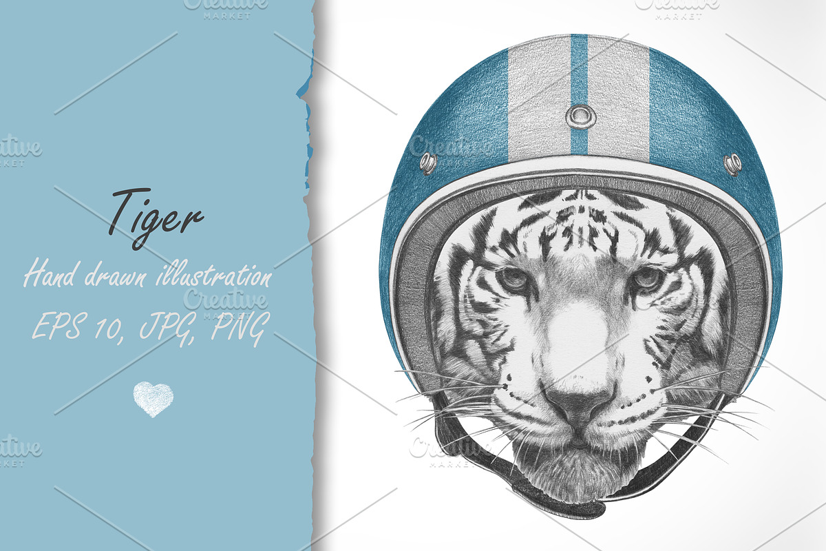 Tiger in Illustrations - product preview 8