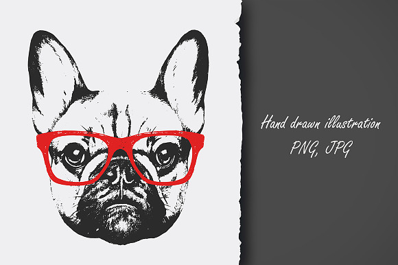 French Bulldog / grunge in Illustrations - product preview 1