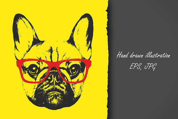 French Bulldog / grunge in Illustrations - product preview 2