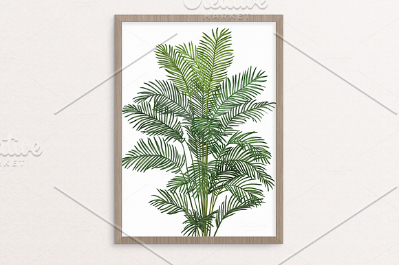 Hand drawn vector room plants in Illustrations - product preview 7