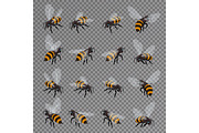 Honey bee vector set on a transparent background. 