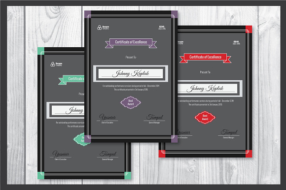 Portrait Certificate Template in Stationery Templates - product preview 2