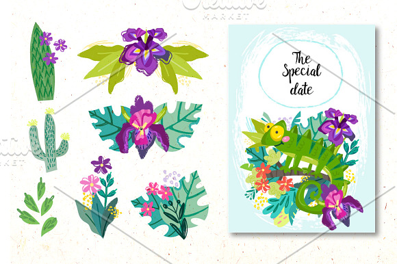 Charming Tropics. in Illustrations - product preview 16