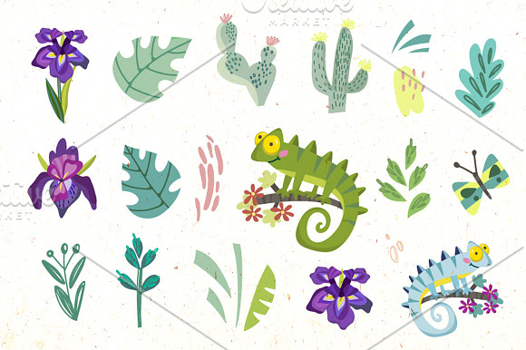Charming Tropics. in Illustrations - product preview 17