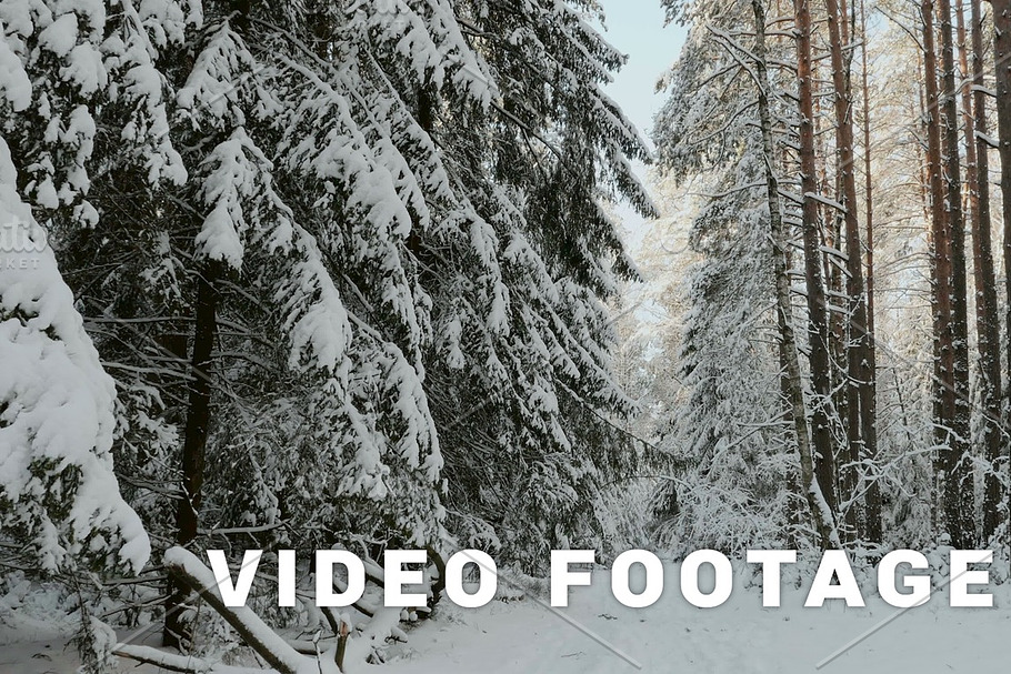Snowy day in the forest in Graphics - product preview 8