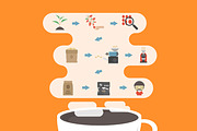 coffee process infographic