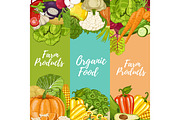 Organic farm food flyers set