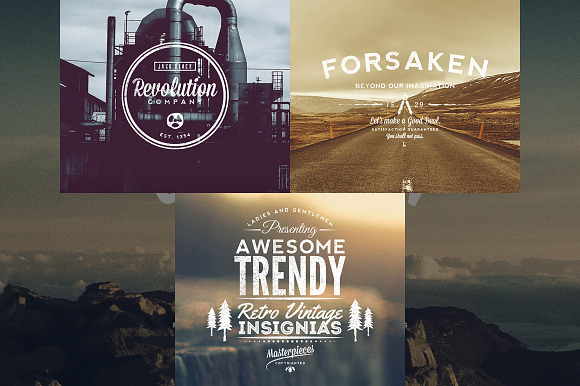 11 Trendy Vintage Insignias Vol.1 in Logo Templates - product preview 3