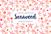 Seaweed watercolor collection