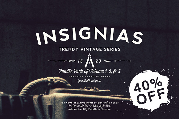 33 Trendy Vintage Insignias Bundle 1 in Logo Templates - product preview 4