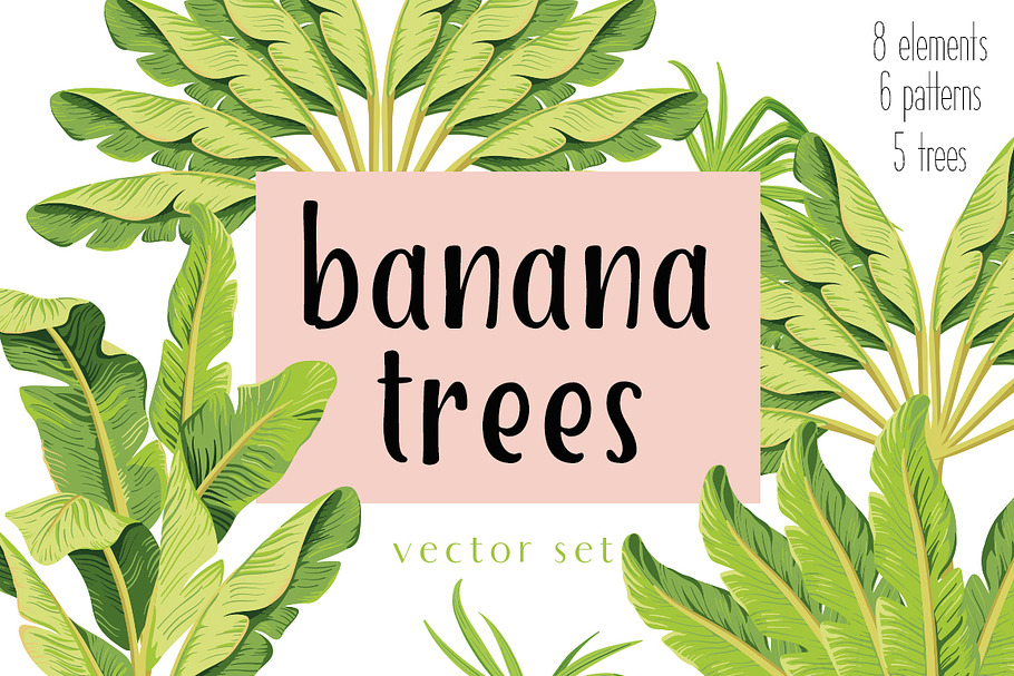 Banana trees. Vector set in Illustrations - product preview 8