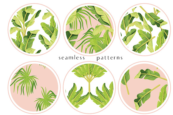 Banana trees. Vector set in Illustrations - product preview 2