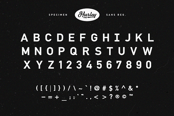 Hurley 1967 Family • 75% Off in Script Fonts - product preview 8