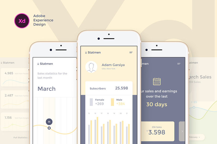 Statmen XD iOS Ui Kit - Statistic in UI Kits and Libraries - product preview 8