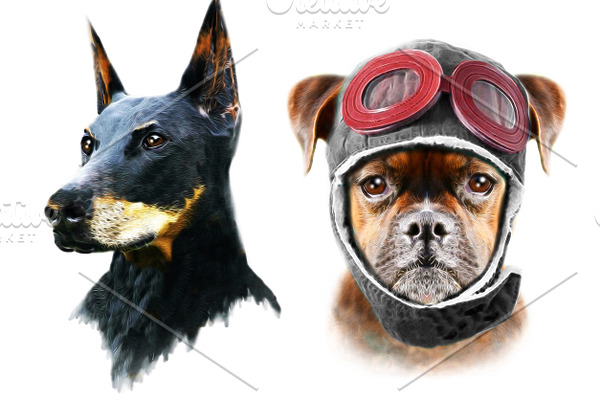 Dog illustration/Doberman print