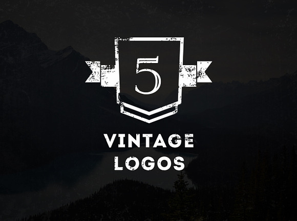 5 Vintage Logos in Logo Templates - product preview 4
