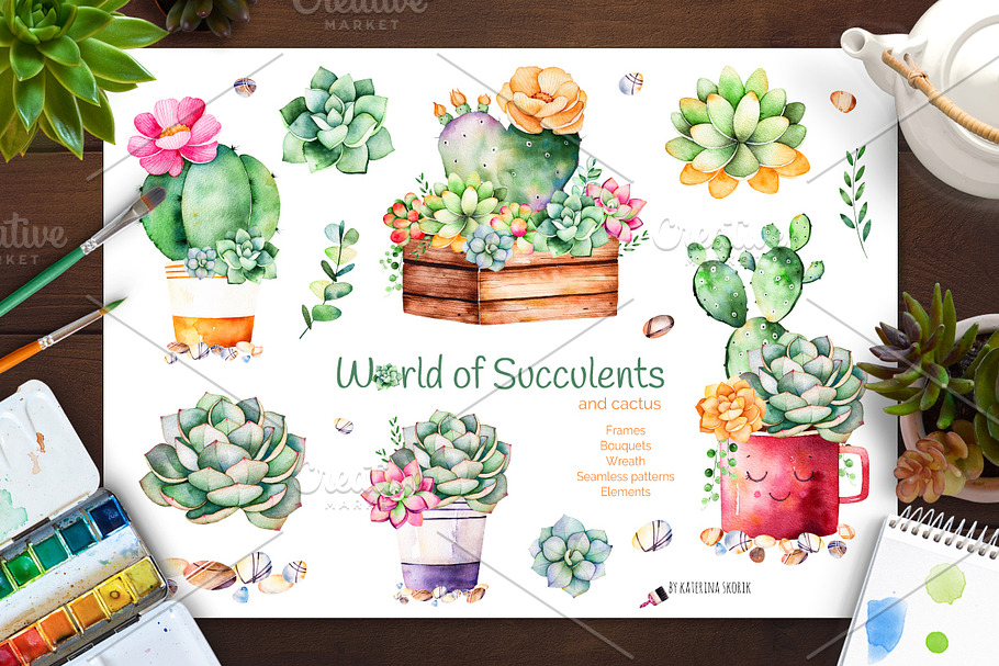 World of Succulents and cactus.