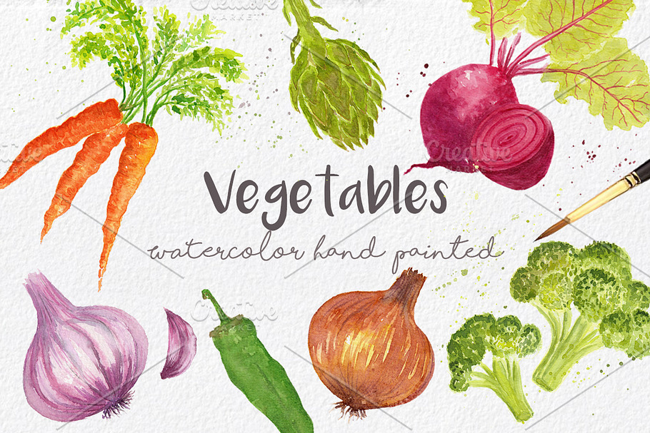 Vegetables in watercolor hand made 