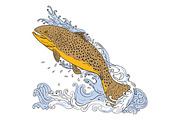 Brown Trout Swimming Up Turbulent 