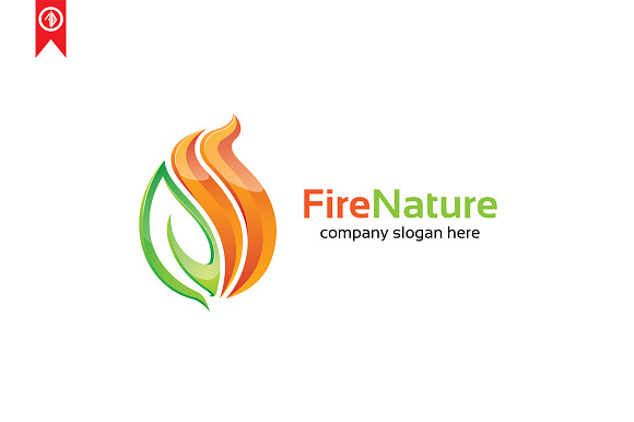 Fire Nature - Logo Template in Logo Templates - product preview 2
