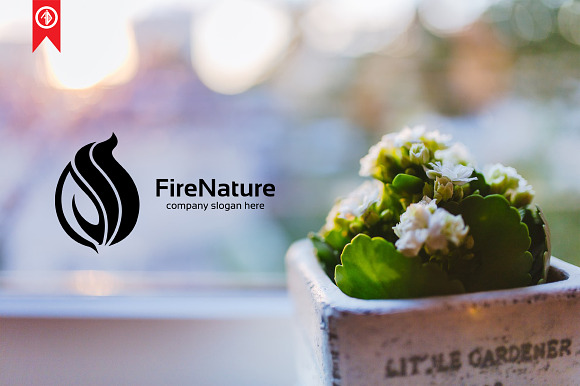 Fire Nature - Logo Template in Logo Templates - product preview 5
