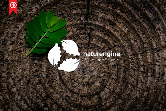 Nature Engine - Logo Template in Logo Templates - product preview 6