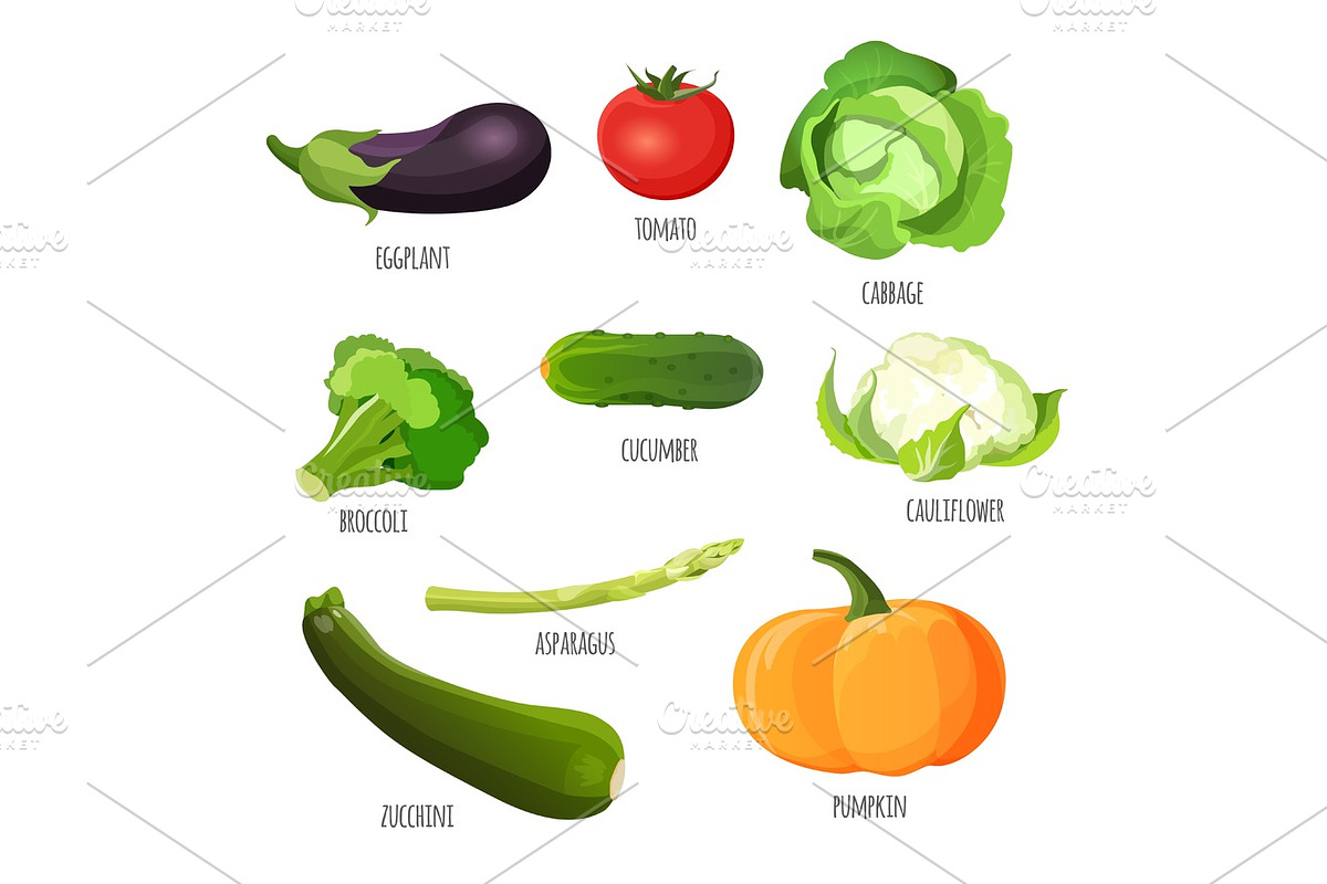 Vegetables set. Eggplant, tomato, cabbage, broccoli, cucumber, cauliflower, pumpkin, zucchini in Illustrations - product preview 8