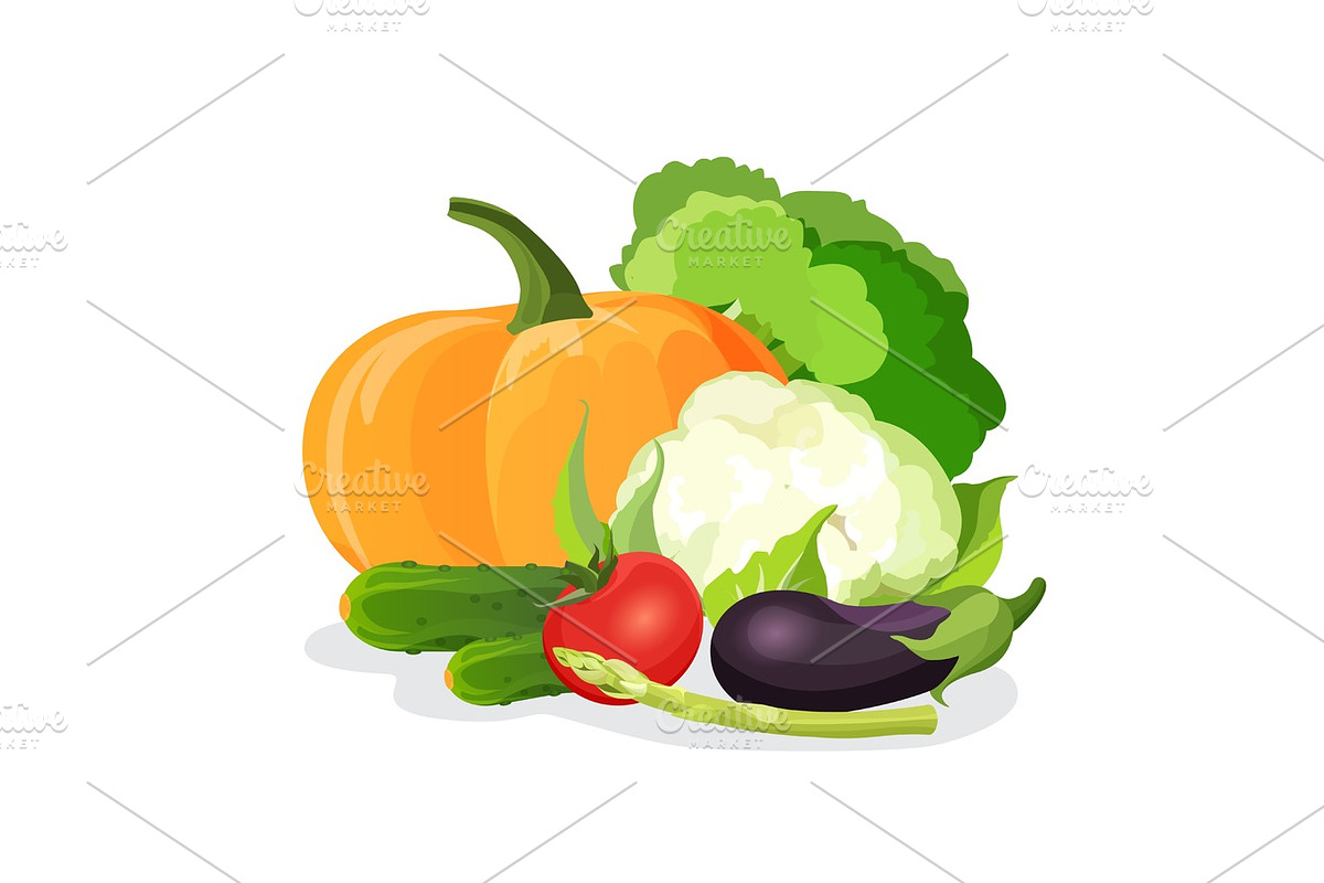 Vegetables vector set. Eggplant, tomato, cabbage, broccoli, cucumber, cauliflower, pumpkin, in Illustrations - product preview 8