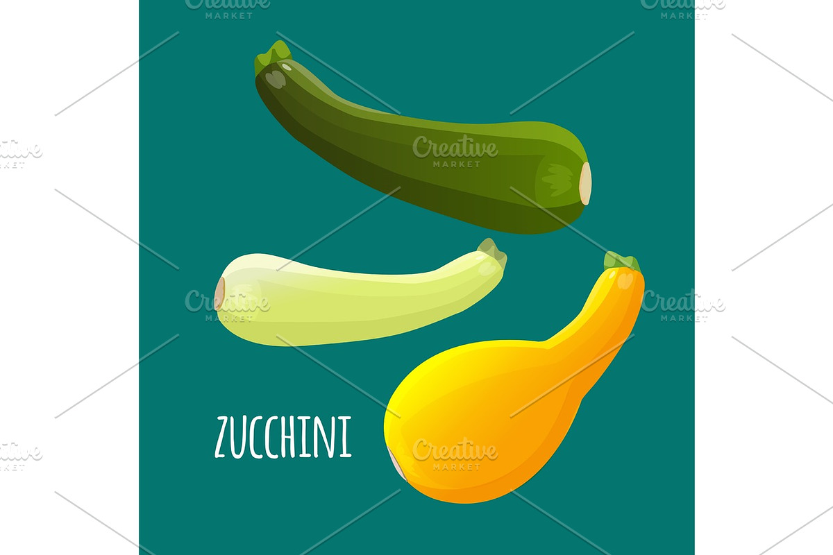 Zucchini or courgette vegetables set. Different kinds of summer squash in Illustrations - product preview 8
