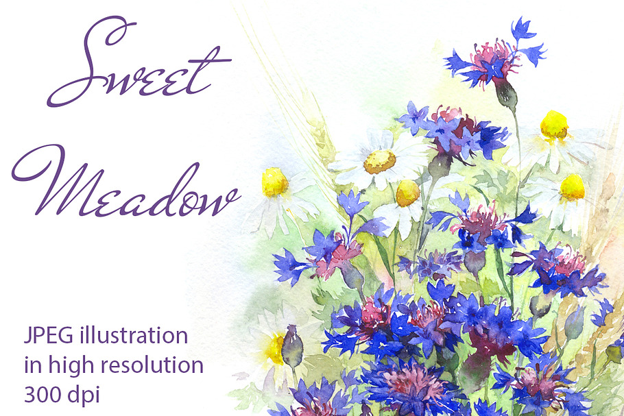 SALE! Watercolor meadow flowers in Illustrations - product preview 8